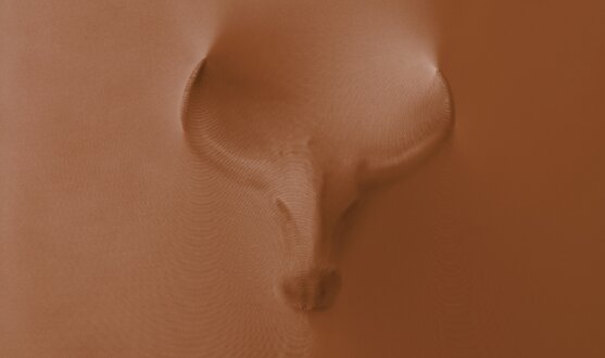 Spandex