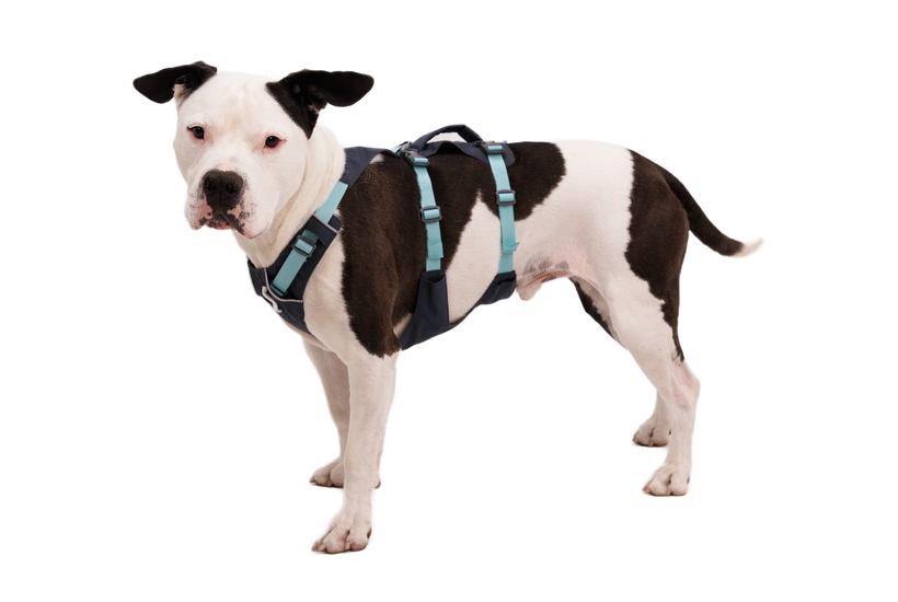 Ruffwear Flagline раница, тъмносив