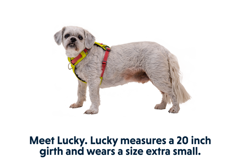 Ruffwear Hi & Light памук, маслинено зелен