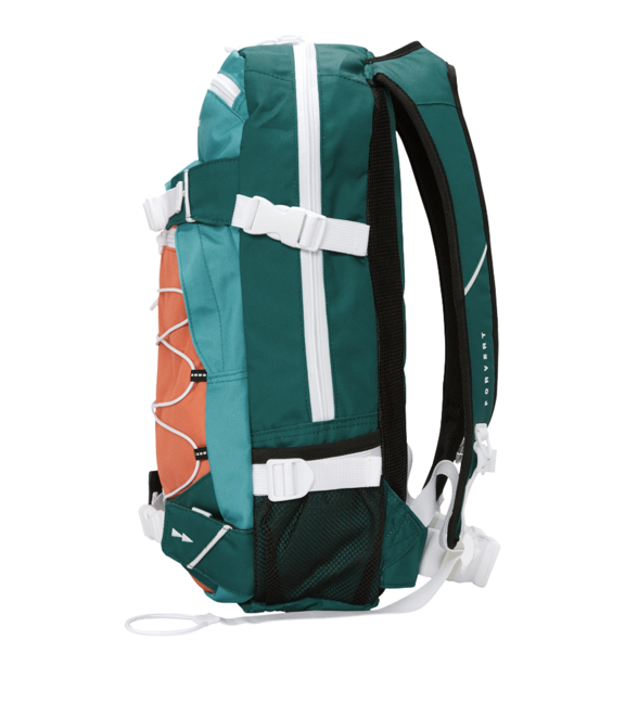 Forvert Ice Louis раница 20L, multicolour 19