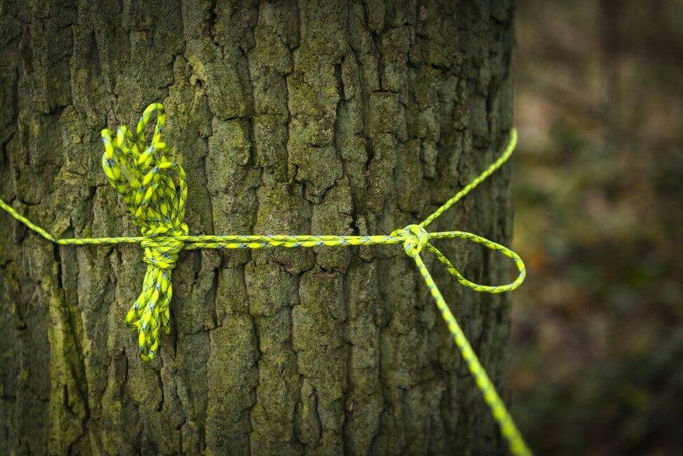 ATWOOD® 550 Paracord въже (100 фута) 55024CB, Multi-Cam