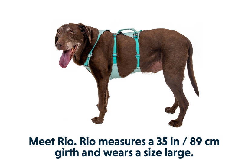 Ruffwear Flagline облегалка, маслинено зелена