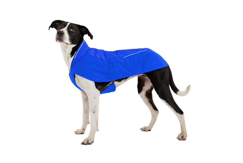 Ruffwear Vert яке за кучета, син pool