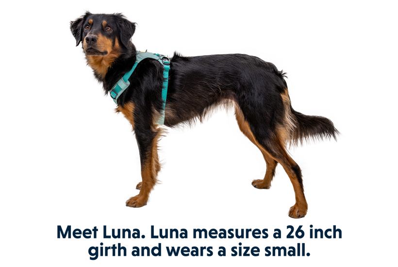 Ruffwear Hi & Light котешки каишка, маслинено зелена