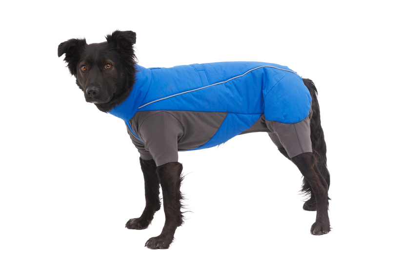 Ruffwear Vert общ костюм за кучето, син