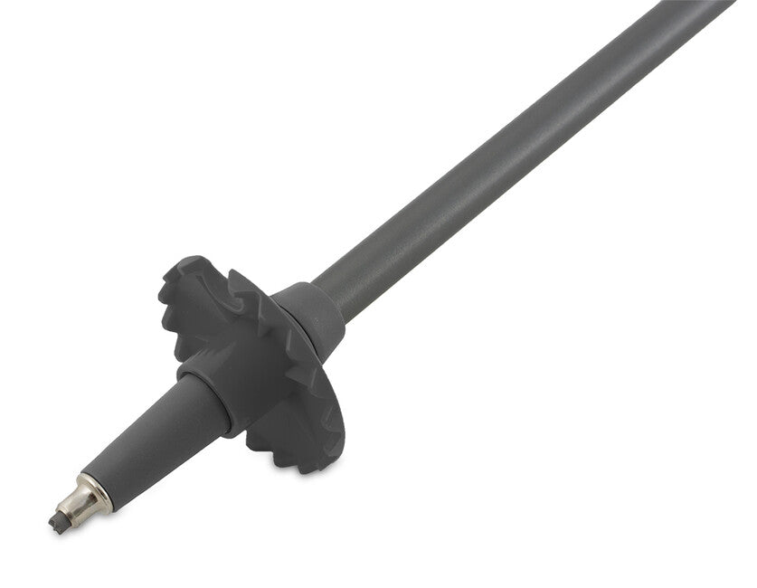 Pinguin Carbon FL алпийски палици от пяна, Carbon/синя