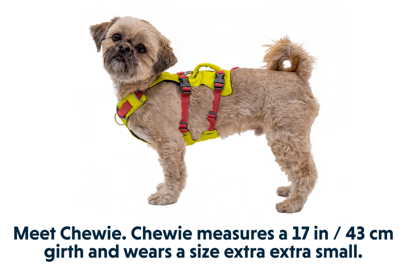 Ruffwear Flagline нагръдник, маслинен зелен
