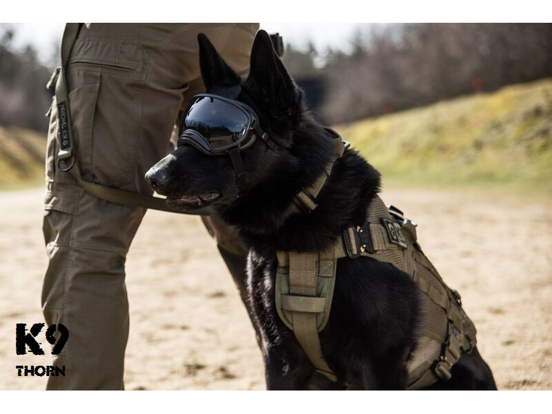 K9 Thorn леки тактически колан