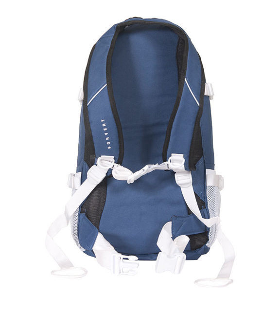 Forvert Ice Louis раница 20L, синя
