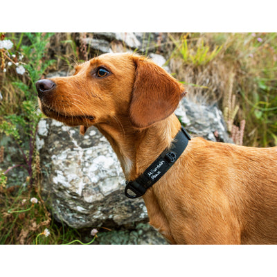 Mountain Paws нашийник за кучета, черен