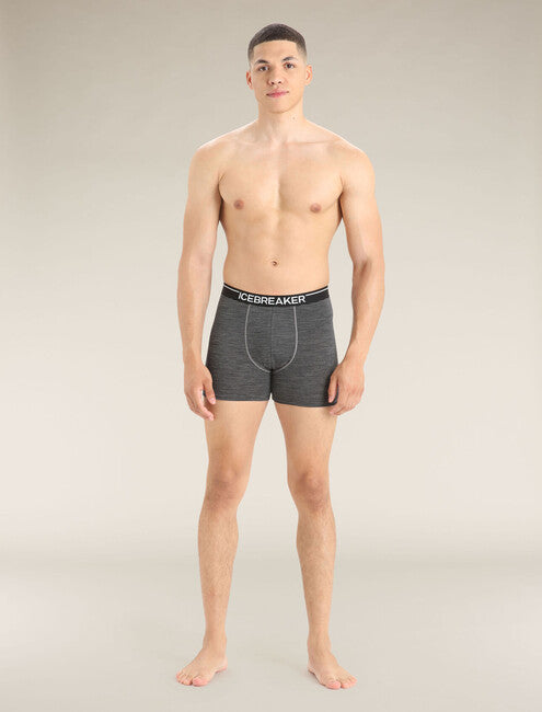Icebreaker Anatomica мъжки боксерки, сива