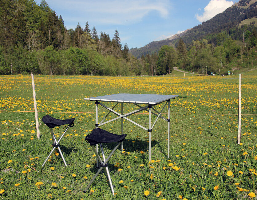 BasicNature Travelchair сгъваемо кресло тринога сандвич