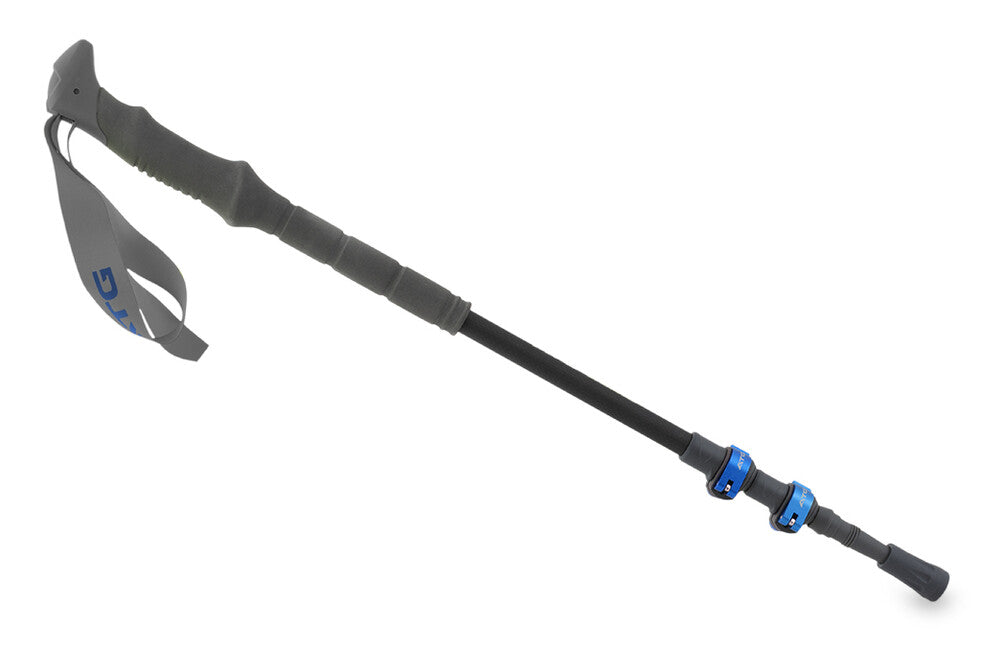 Pinguin Carbon FL алпийски палици от пяна, Carbon/синя