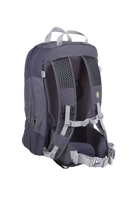 LittleLife Traveller S4 детски носител, сив