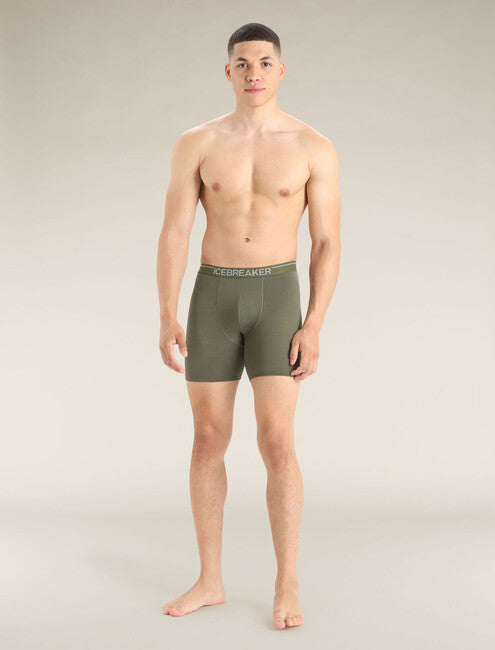 Icebreaker Anatomica мъжки дълги боксерки, зелена