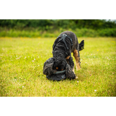 Mountain Paws XL колан за животни