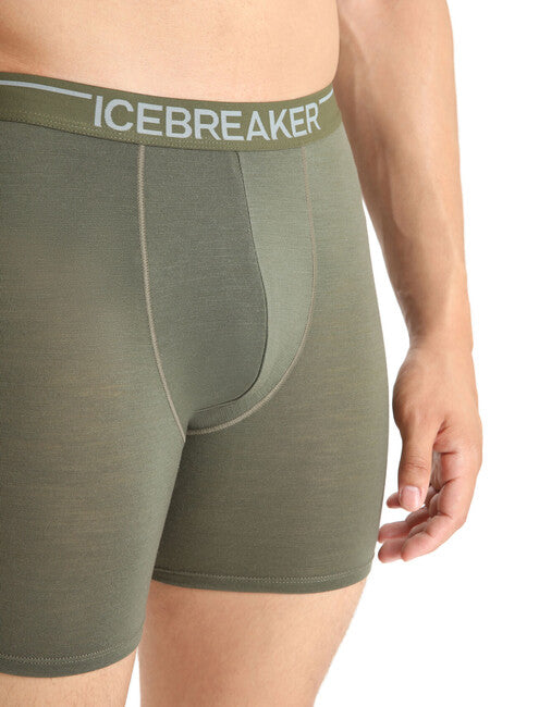 Icebreaker Anatomica мъжки дълги боксерки, зелена