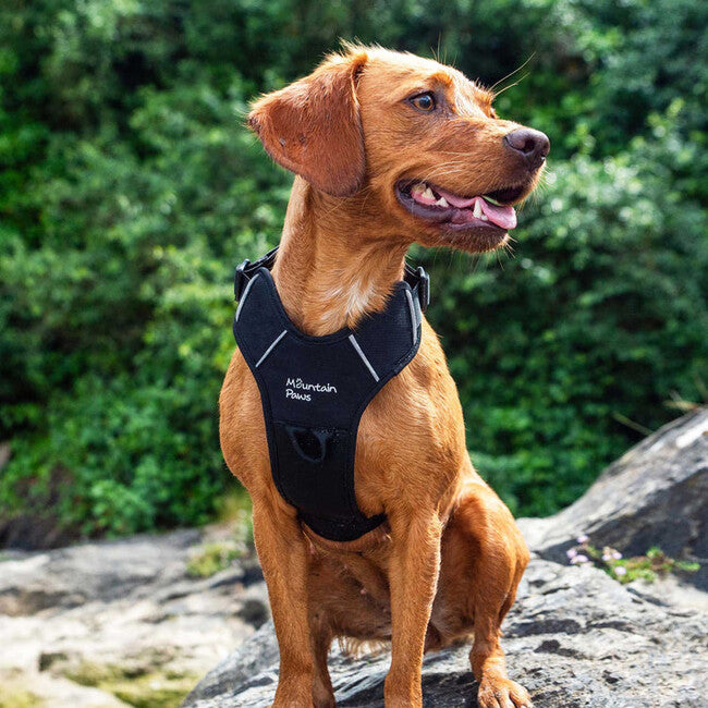 Mountain Paws Dog Harness подложено кучешко облекло, черно, голямо