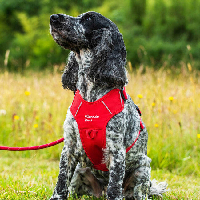 Mountain Paws Dog Harness подложено нагръдник за кучета, червен, голям