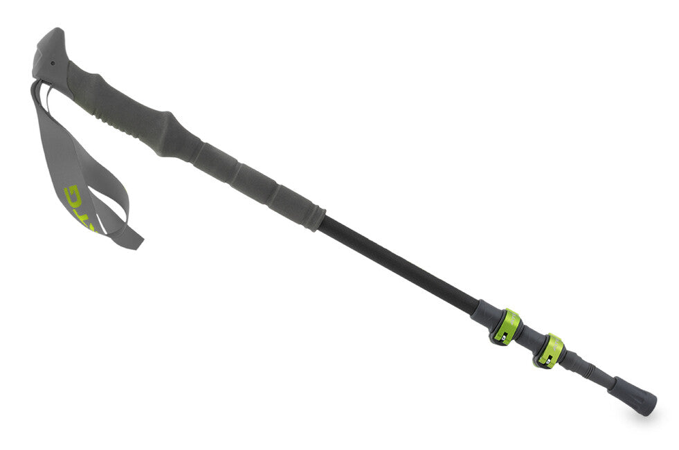 Pinguin Carbon FL алпийски палици от пяна, Carbon/синя