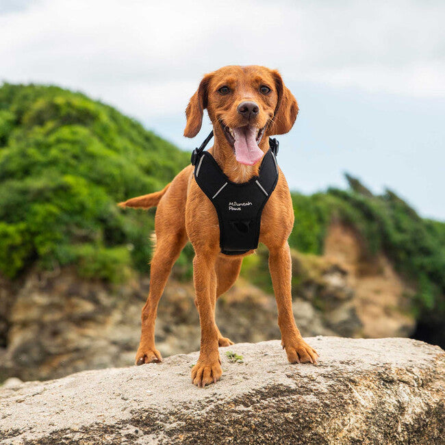 Mountain Paws Dog Harness подсилена опрема за кучета, черна, малка