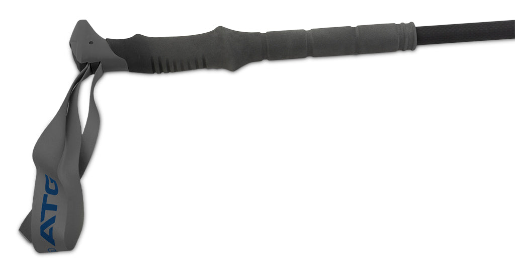 Pinguin Carbon FL алпийски палици от пяна, Carbon/синя