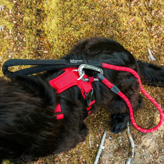 Mountain Paws Dog Harness подложено нагръдник за кучета, червен, голям
