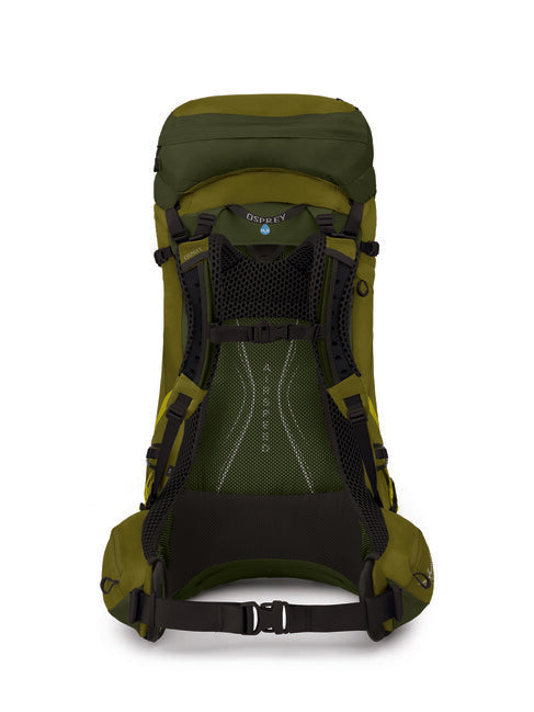OSPREY ATMOS AG LT 50 туристическа раница, scenic valley/зелен peppercorn