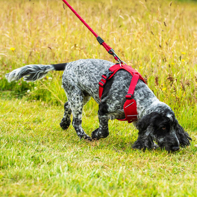 Mountain Paws Dog Harness мъжко подплатено нагръдник за кучета, червен, малък