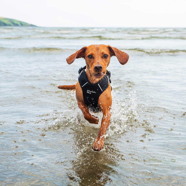 Mountain Paws Dog Harness подложено кучешко облекло, черно, голямо