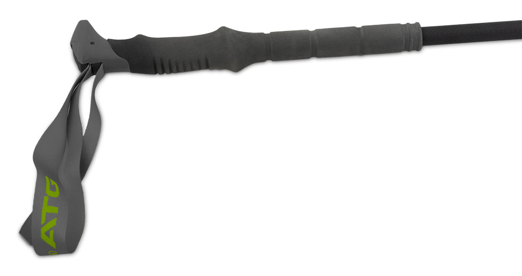 Pinguin Carbon FL алпийски палици от пяна, Carbon/синя