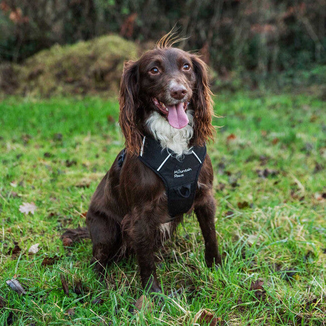 Mountain Paws Dog Harness подложена яка за кучета екстра голям размер, черна