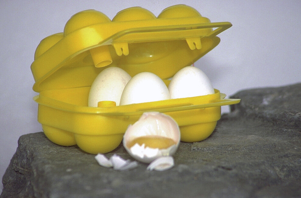 Coghlans CL съд за яйца, 6 яйца