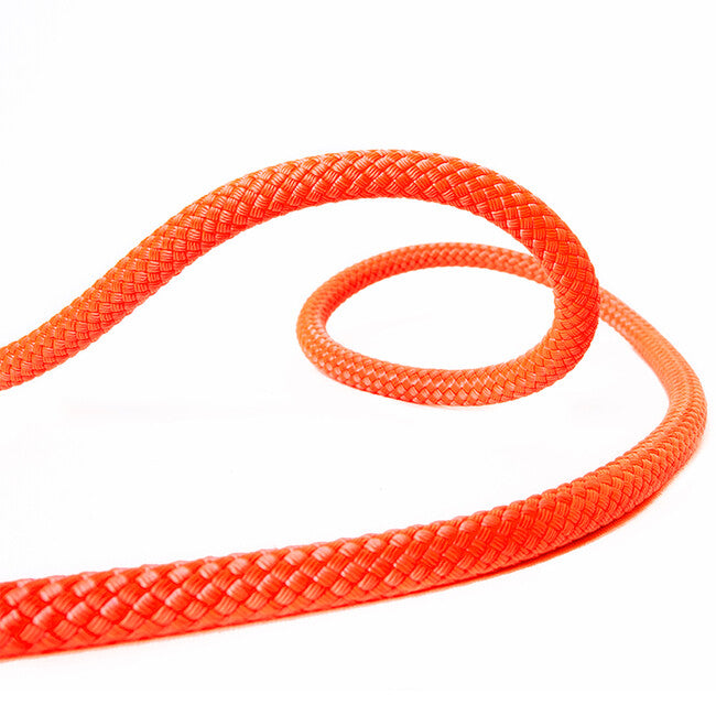 BEAL Pro Canyon катерачко въже 10,3 mm, 60 m