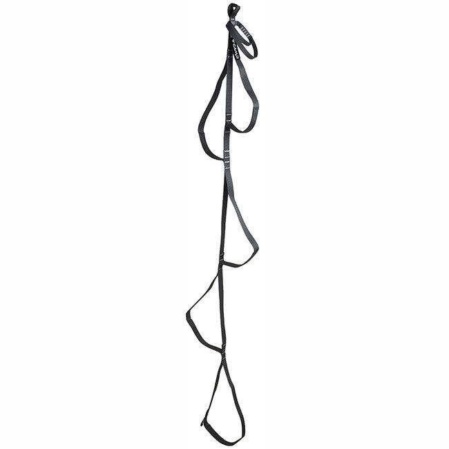 CAMP Standard Aider стремелка 172 cm