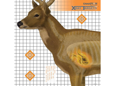 Shooting Targets