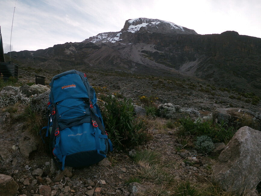 Pinguin Explorer 75 раница Nylon, 75 L, тъмносиня