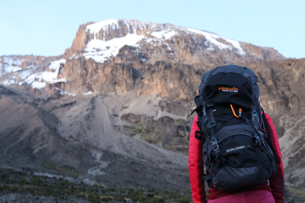 Pinguin Explorer 75 раница Nylon, 75 L, тъмносиня