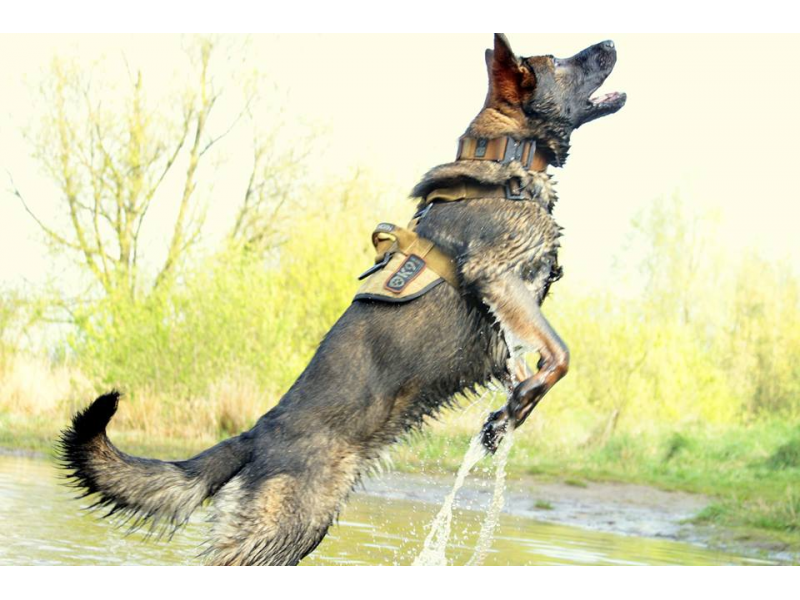 K9 Thorn упряжка Delta, кафяв койот