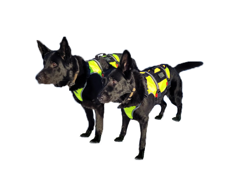 K9 Thorn харнес ONE
