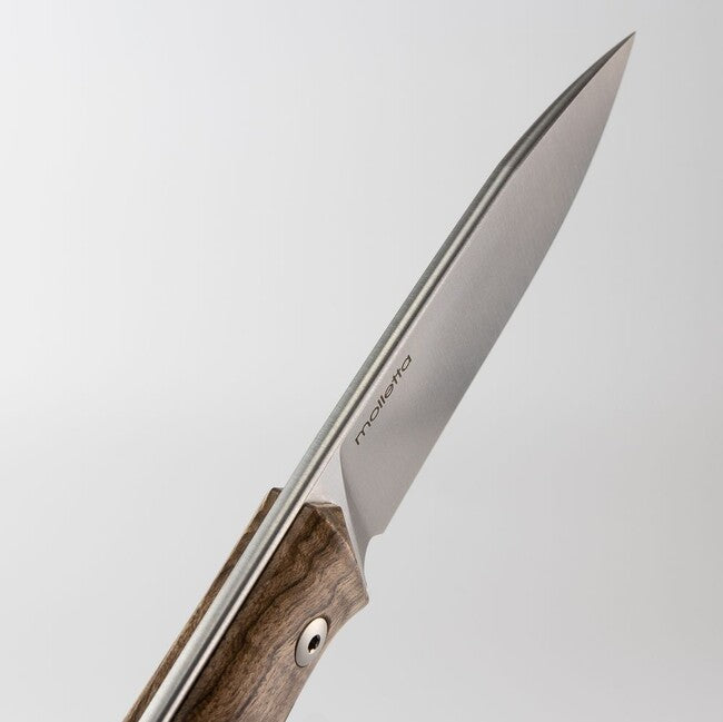 Lionsteel B35 WN нож бушкрафт с фиксирана остър от стомана Sleipner