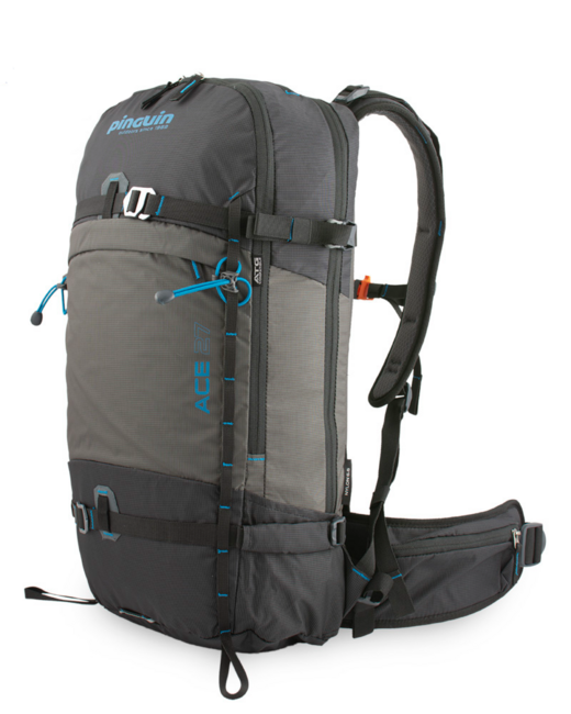 Pinguin Ace 27 раница Nylon, 27 L, черна