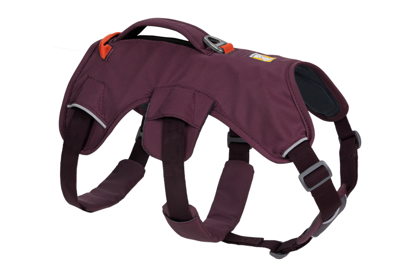 Ruffwear Web Master поводец, лилав дъжд