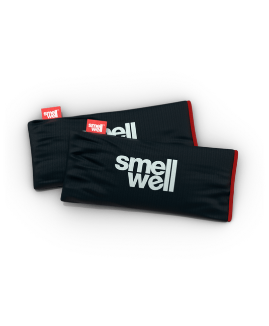 SmellWell Active XL многофункционален дезодоризер, Black Stone