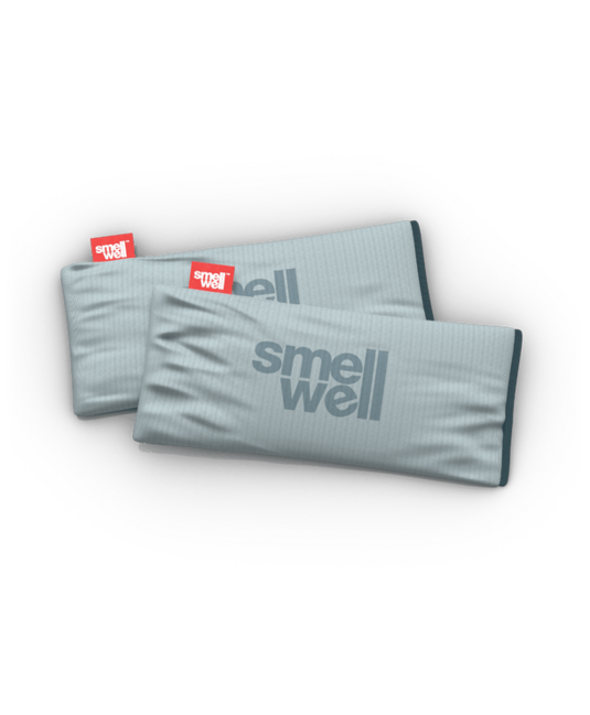 SmellWell Active XL многофункционален дезодоризер, Silver Grey