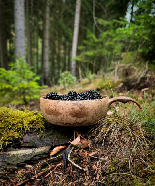 Купилка 55 купа кафяво Bowl в опаковка, кафява, 550 ml