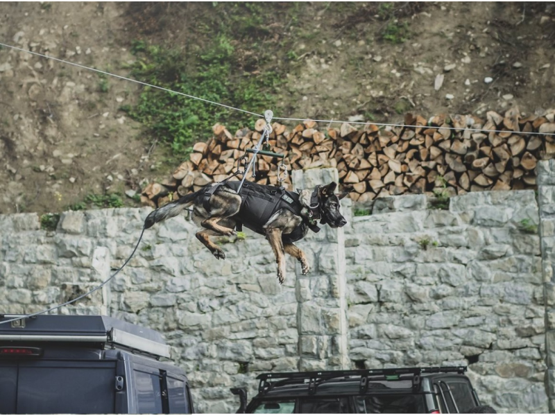 K9 Thorn тактически уосъл