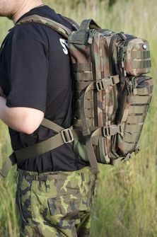 MFH US Assault раница горски камуфлаж 30л